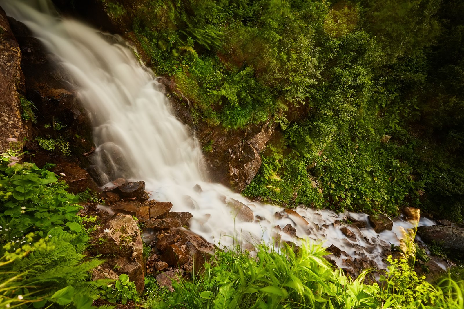 People at Bear Shola Falls